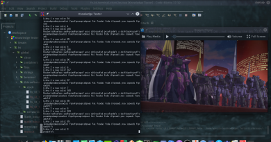 2020-05-18 - Ajustar frases e palavras ao tamanho do ecrã em Terminal de Linux com C++
