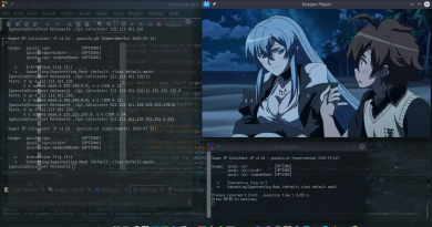 2020-07-12 - Networking - Criando uma Calculadora de IPV4/Subnetting para Linux em C++