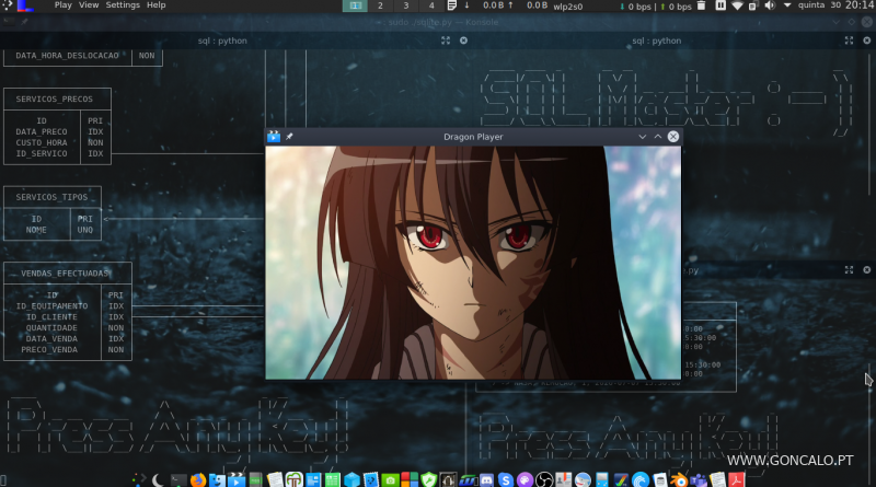 2020-07-30 - Um mapeador de tabelas relacionais para terminais de Linux em Python e C++ ao estilo dos anos 80
