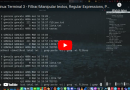 Curso Linux Terminal 3 - Filtrar/Manipular textos, Regular Expressions, Patches, vigiar alterações, etc...