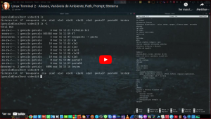 Curso Linux Terminal 2 - Aliases, Variáveis de Ambiente, Path, Prompt, Streams...