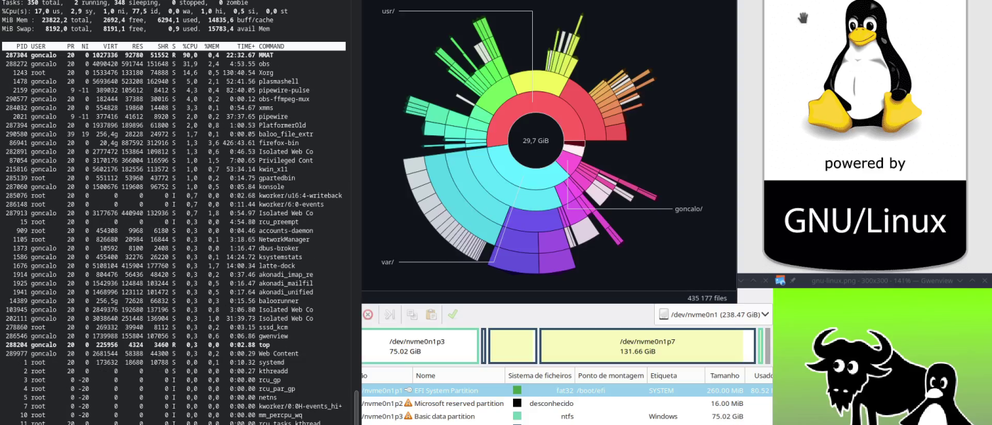 Curso Linux Terminal - Linux: Disco cheio. Servidor a crashar. Não se pode apagar nada? Como salvar o sistema...