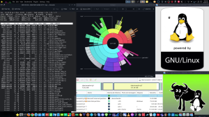 Curso Linux Terminal - Linux: Disco cheio. Servidor a crashar. Não se pode apagar nada? Como salvar o sistema...