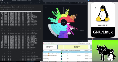 Curso Linux Terminal - Linux: Disco cheio. Servidor a crashar. Não se pode apagar nada? Como salvar o sistema...